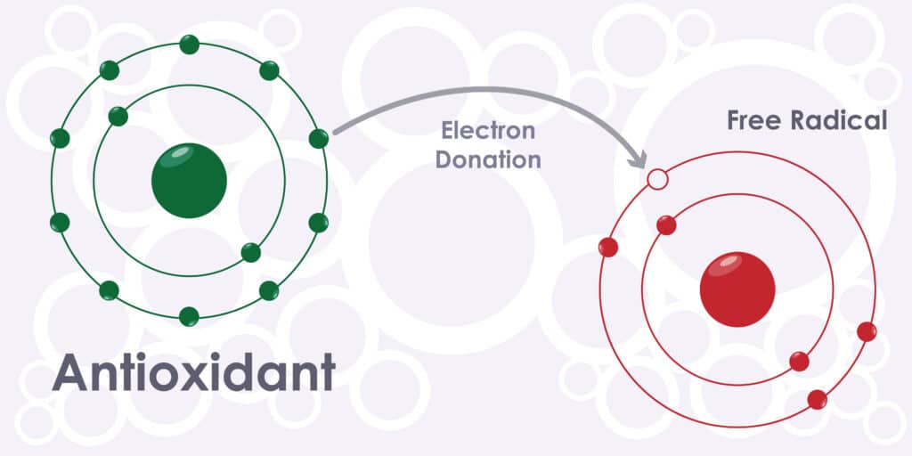 อนุมูลอิสระคือะไร