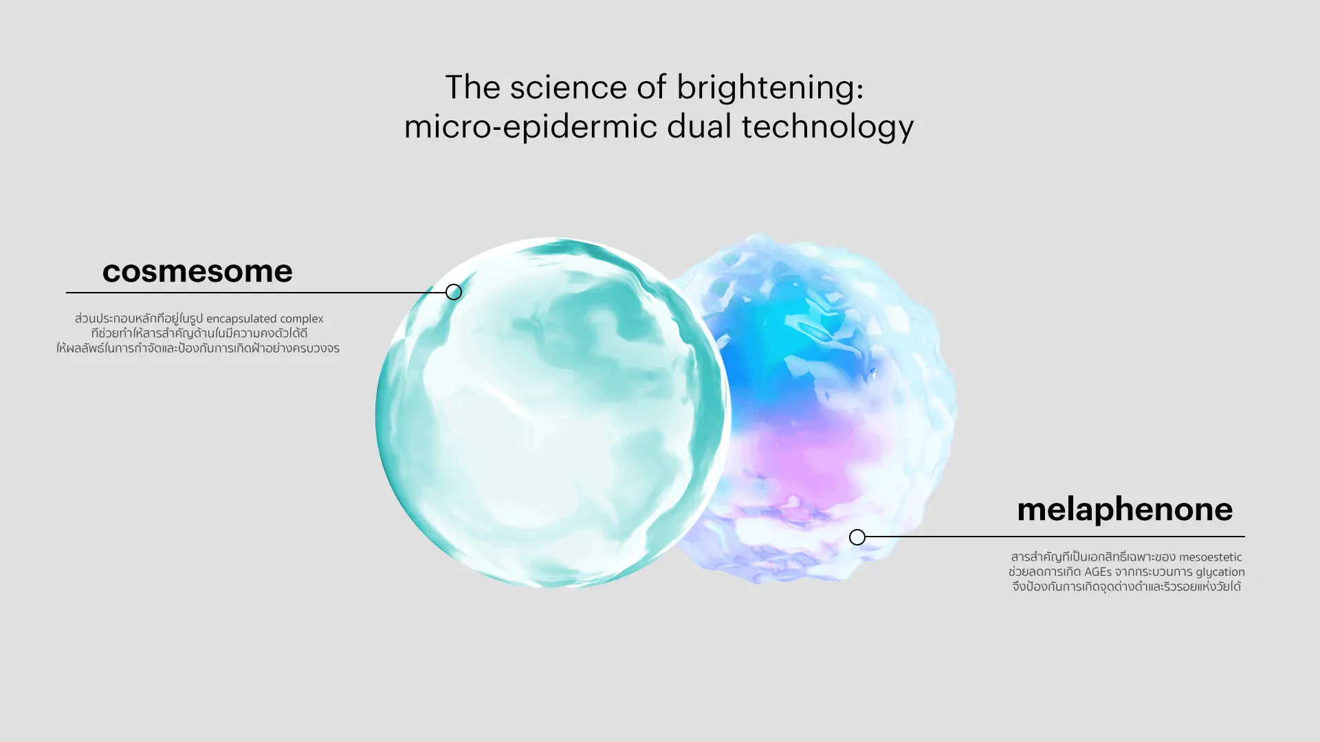 banner-science-micro