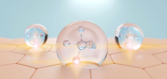 เซราไมด์